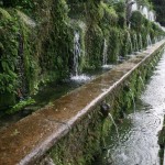 Foto dei Giardini della Villa d'Este, Tivoli