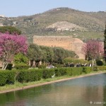 Photo of Hadrian's Villa