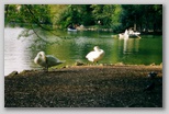 Villa Borghese