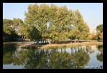 Villa Ada