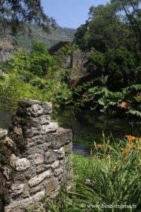 Foto del giardino di Ninfa