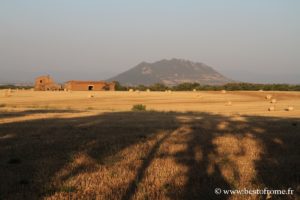 Vue sur le Mont Soracte
