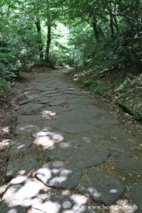 Foto della Via Sacra (Monte Cavo)