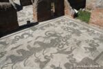 Mosaici di Nettuno, Terme di Ostia Antica