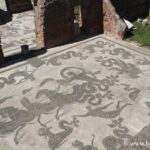 Neptune mosaics of Ostia