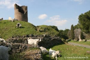 Via Appia Park in Rome: Curiazi Tower and Tumulus