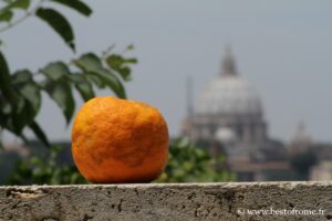 Orange garden in Rome: belvedere