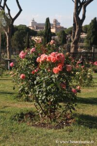 Rose Garden of Rome