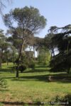 Parco di Villa Ada a Roma