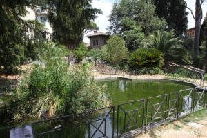 Turtle basin of the Villa Sciarra in Rome