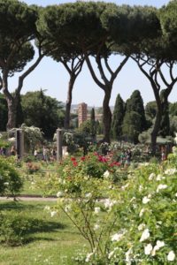 Photo of Rose Garden of Rome