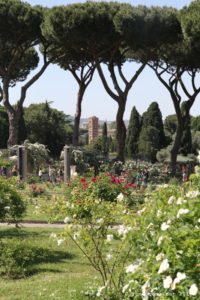 Roseraie de Rome