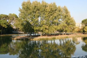 Parc de la Villa Ada à Rome: lac