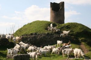 Parc de la Via Appia à Rome : Tour et tumulus Curiazi